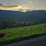 Haus Panorama Mit Alpenblick Holiday home