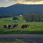 Haus Panorama Mit Alpenblick Σπίτι διακοπών *