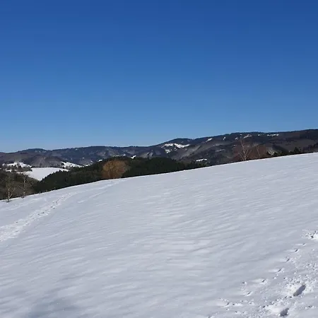 Haus Panorama Mit Alpenblick * Kleines Wiesental