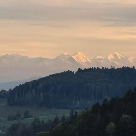 Haus Panorama Mit Alpenblick Kleines Wiesental