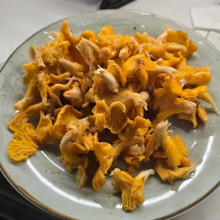 Haus Panorama Mit Alpenblick *