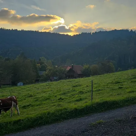 Haus Panorama Mit Alpenblick Дом отдыха