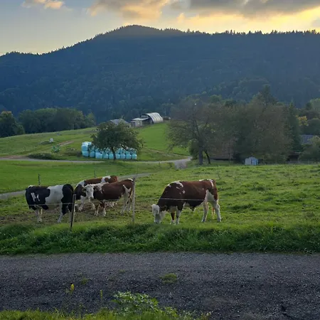 Haus Panorama Mit Alpenblick Сasa de vacaciones *