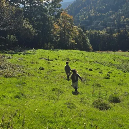 Haus Panorama Mit Alpenblick Сasa de vacaciones Kleines Wiesental